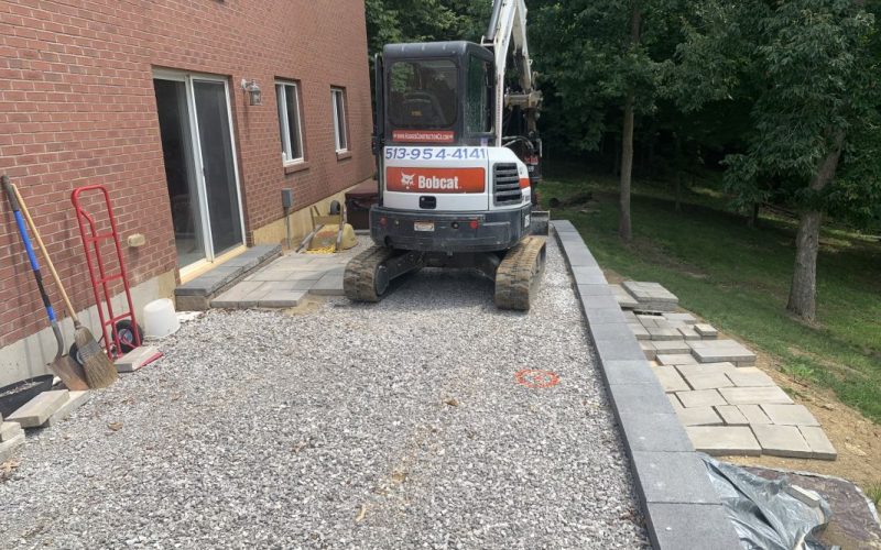 Bobcat on top of a retaining wall